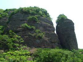 ☜凤凰家族芳草芯☞主播照片