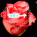 心甘情愿爱你主播照片
