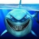 ◆鲨鱼◆的头像