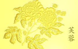 baihe主播照片