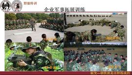 野狼特训基地主播照片