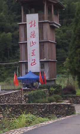 dsqczlgs主播照片