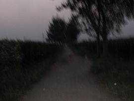 济世活人主播照片