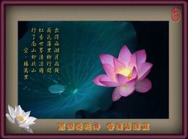 人奇~主播照片