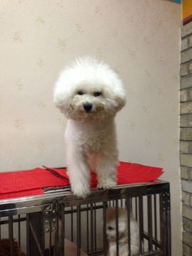 媳妇的美主播照片