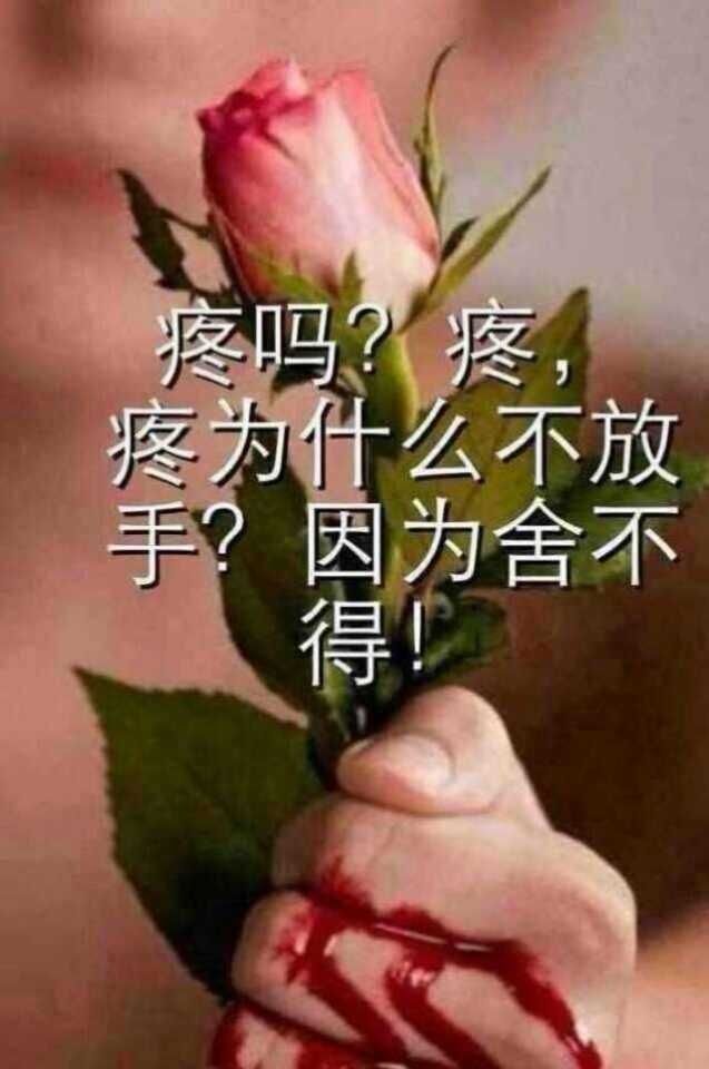 ★.黄秋秋.★的主播照片