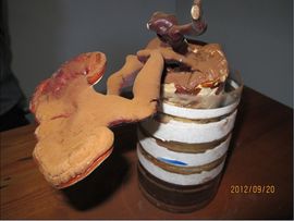 老乐快乐主播照片