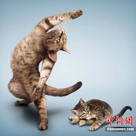 幸福之手。。。。。。主播照片