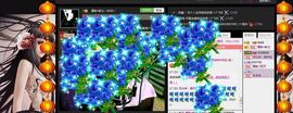 魔教¤教主主播照片