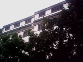 云游之路主播照片