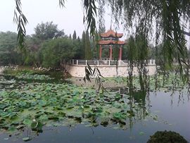雨中丽人主播照片