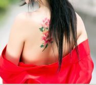 牡丹6万🌹金牌代理的图片