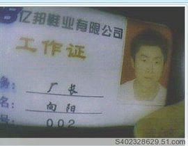 abcd198331主播照片