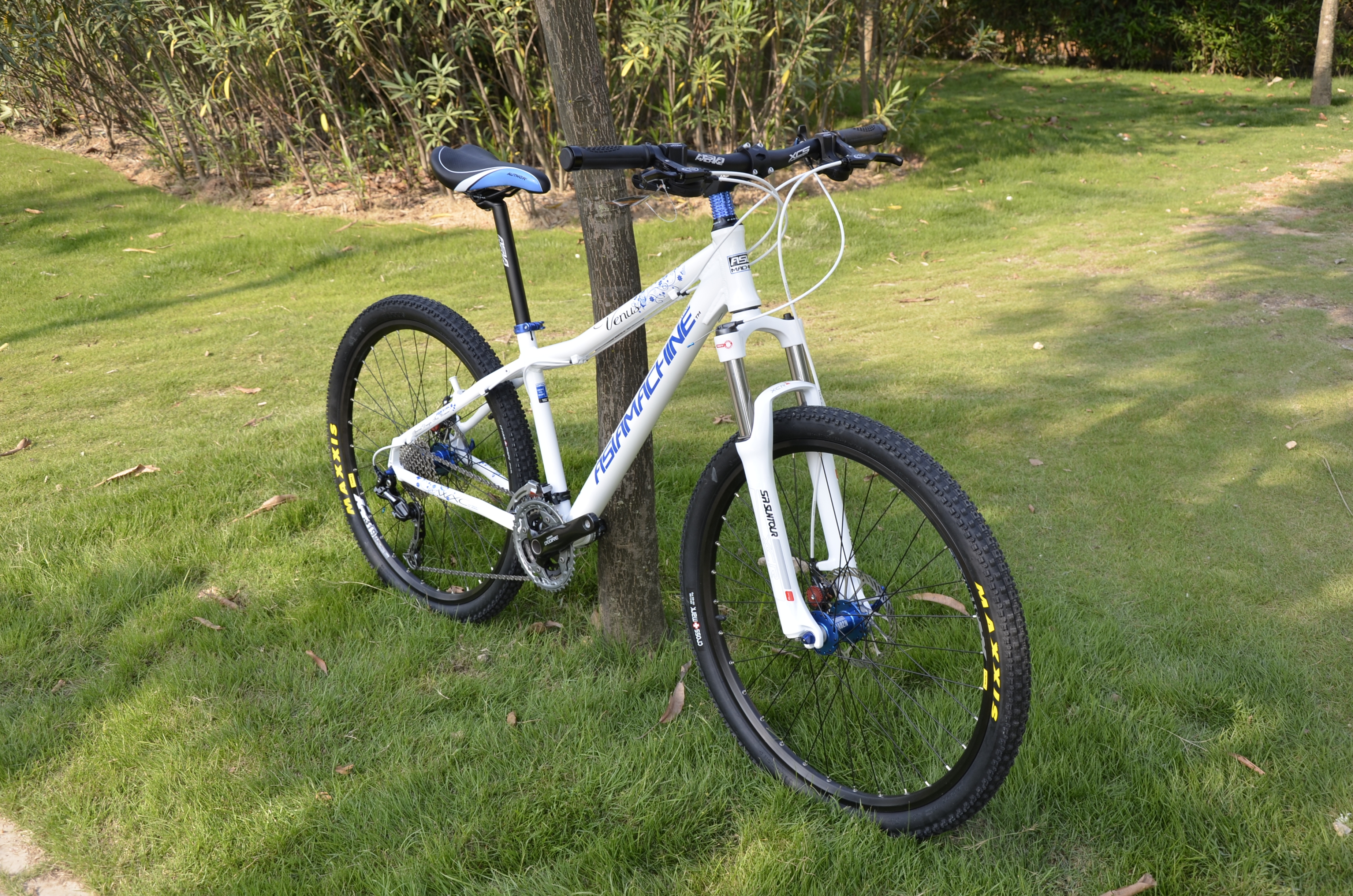 初之吻的主播照片