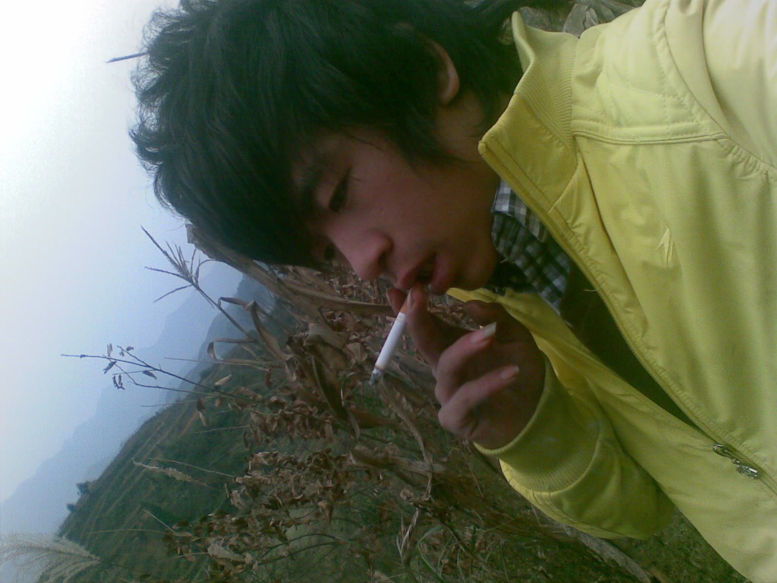 yi颗死去的小草的主播照片