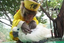 此侽z1丶花落亦不离主播照片