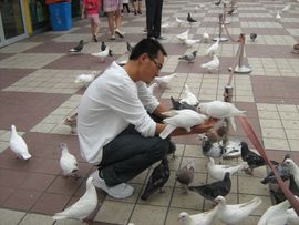老公真好主播照片