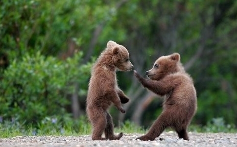 ~~叮当猫的主播照片