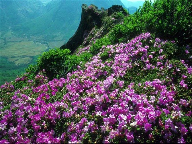 、我就是我的主播照片