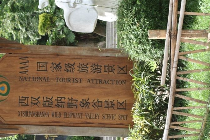 asd刚哥的主播照片