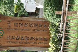 asd刚哥主播照片