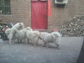 睡一睡主播照片