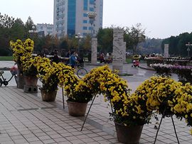 雨中丽人主播照片
