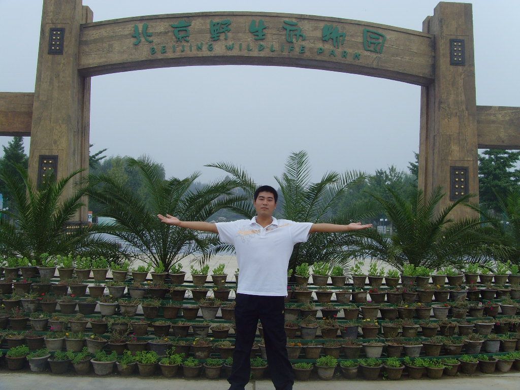 梦无声主播照片