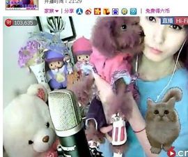 淼淼❤猫妖主播照片