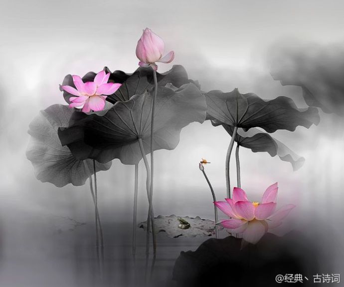 ★﹍゛愛我所愛♂的主播照片