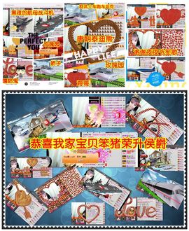 一只小安可主播照片