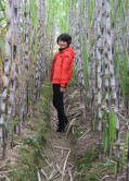 野性and飞血的主播照片