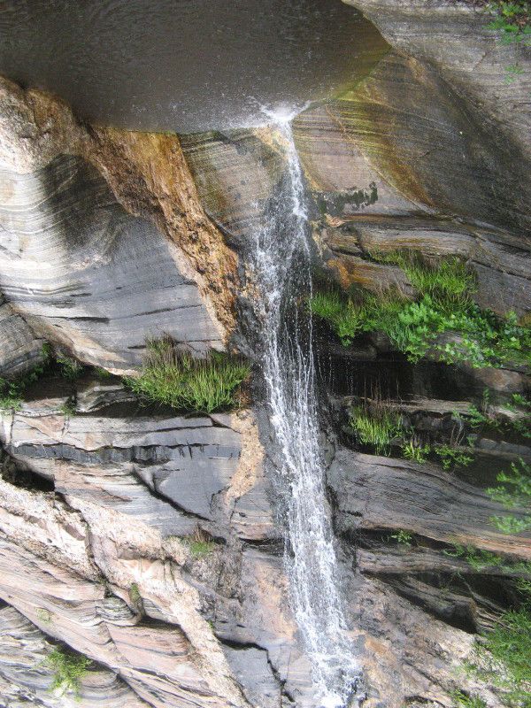 、我就是我的主播照片