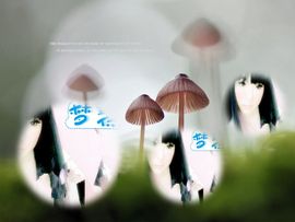 画房间号879898主播照片