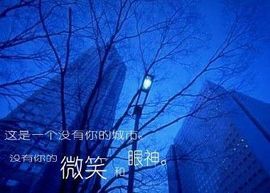 夜飞寒-一叶知秋主播照片