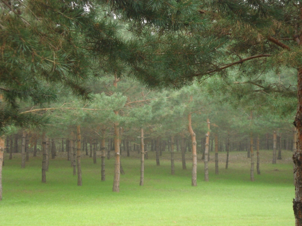 ゞ巴山夜雨℡的主播照片