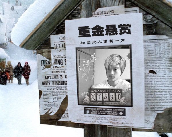 遺失的記憶chenx的主播照片
