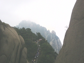 ˋ★│巫毒♂权哥°主播照片