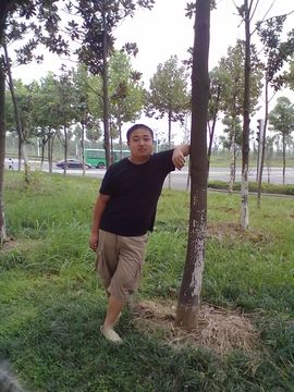 轻舞飞扬gl主播照片