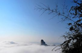 ○圭！小音符™主播照片