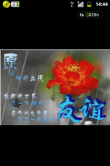 ♥♥融化★蜜糖♥♥的图片