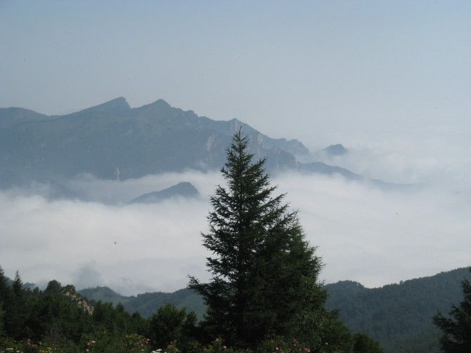 、我就是我的主播照片