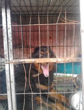 ゞ地桃ゝ主播照片