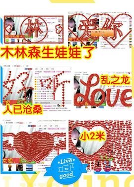 一只小安可主播照片