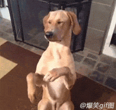 马上成AAA的主播照片