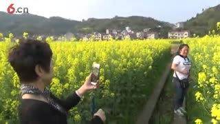 麻阳苗族自治县长潭乡石马洞田园村庄春光美 20190328