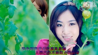 视频 人类已经不能阻2的爱 2013年3月最流行歌曲 1080P超清