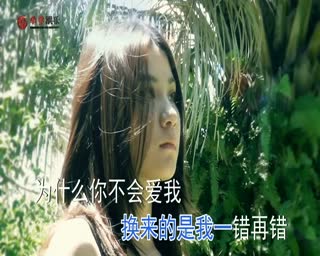 洪铭骏-为什么你不会爱我
