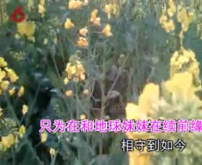 春天 宋小金