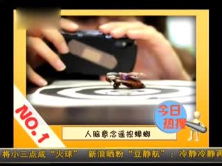 天津现双头猪 两个脑袋三只耳朵